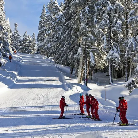 Alpina & Savoy Hotel 4*
