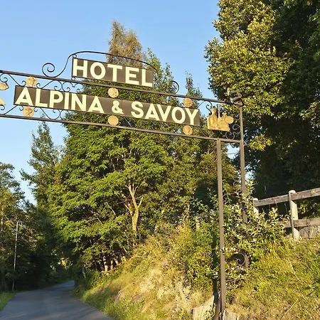 Alpina & Savoy Hotell 4*
